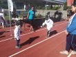 IMG_20180909_113023.jpg